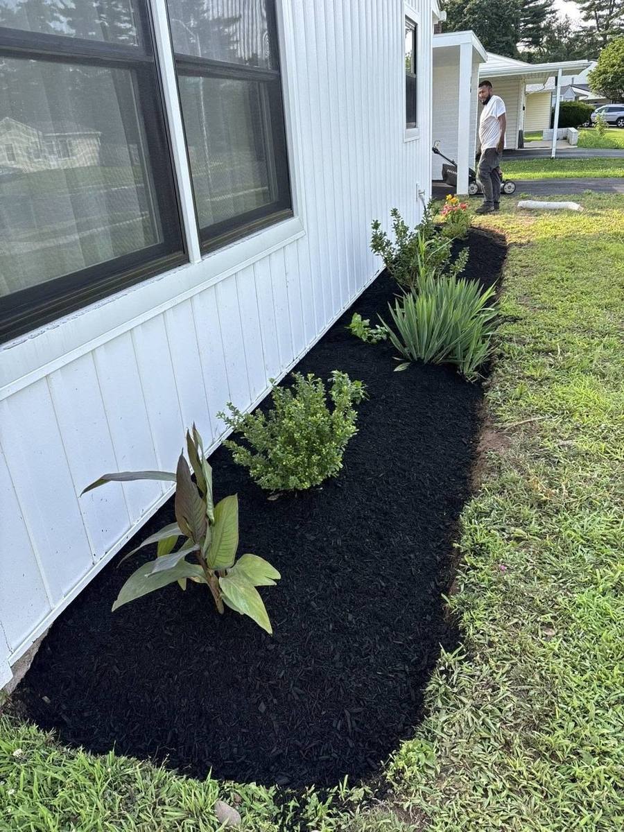 Freshly planted foundation bed with shrubs and perennials in black mulch